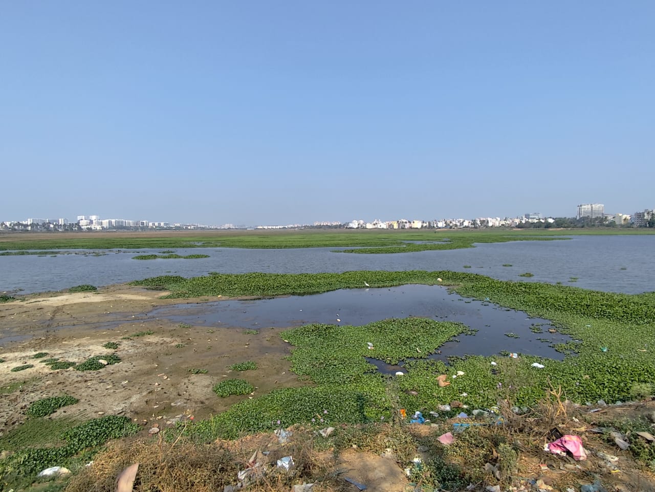 Once a lifeline, now a threat: Farmers grapple with toxic waters of Varthur and Bellandur Lakes