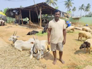 Nagaraj Venkatesh, dairy farmer at Varthur lake