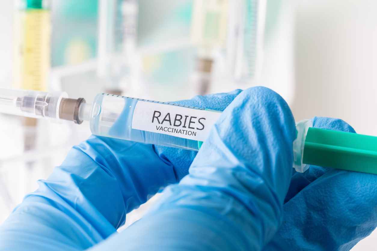 rabies vaccination Rabies vaccination.