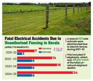 Accidents due to electric fences.