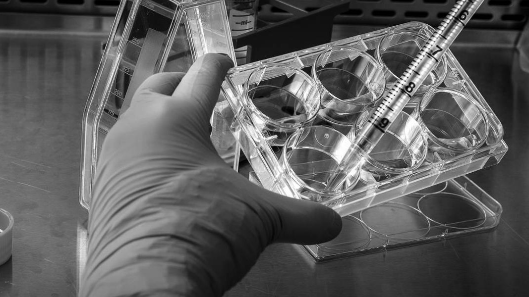 A smarter way to test? How Telangana’s HIV strategy led to a three-fold drop in positivity rate