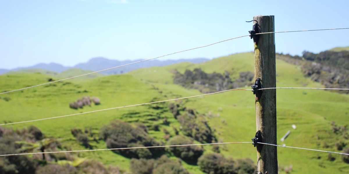 Electric fence. (iStock) Electric fence