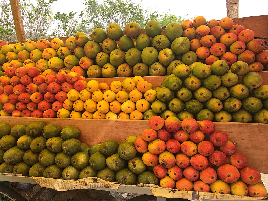 Mangoes_sold_in_India Different varieties of mangoes.