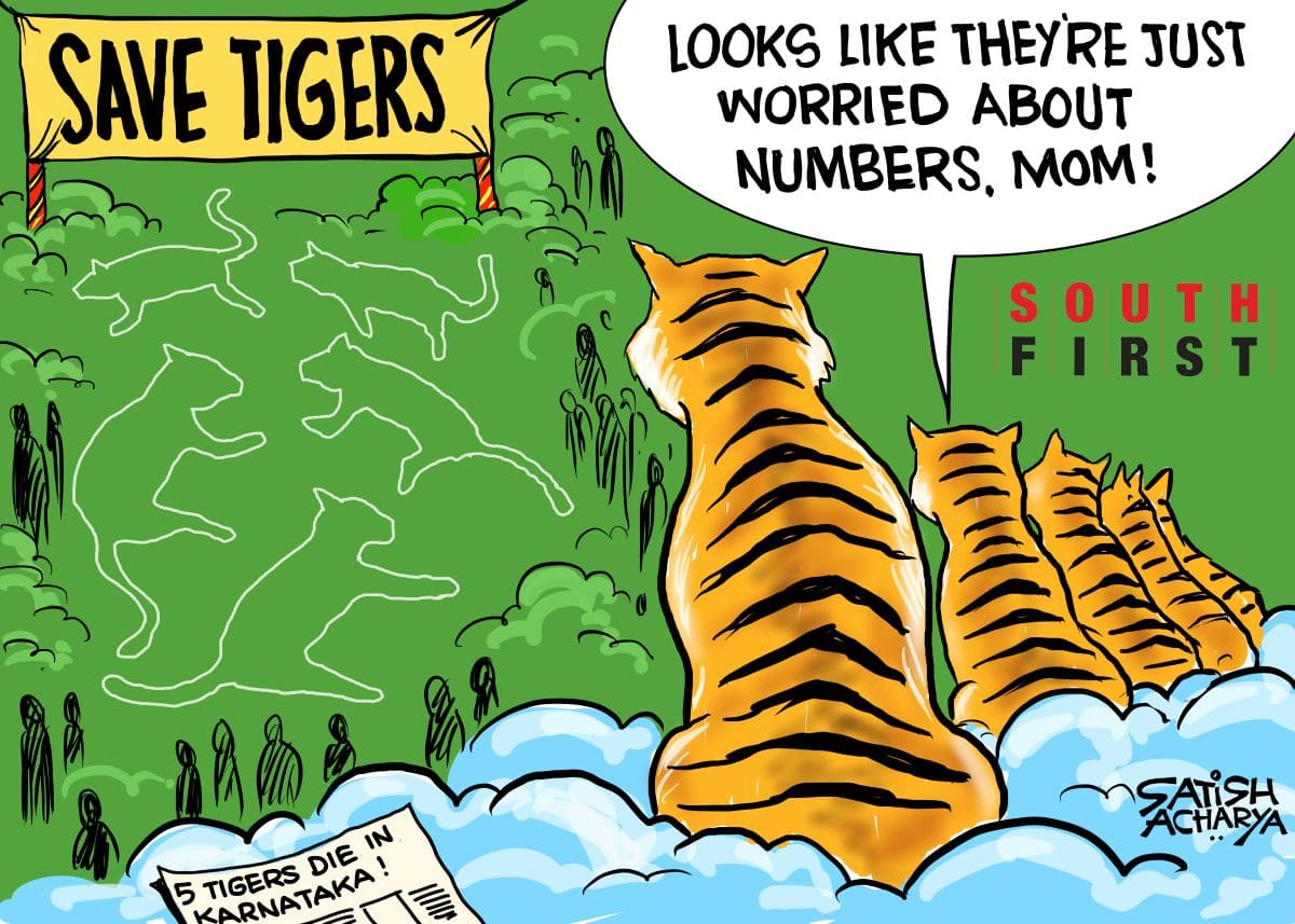 One adult tiger and four cubs found dead in unnatural conditions in the Male Mahadeshwara Hills forest region of Karnataka