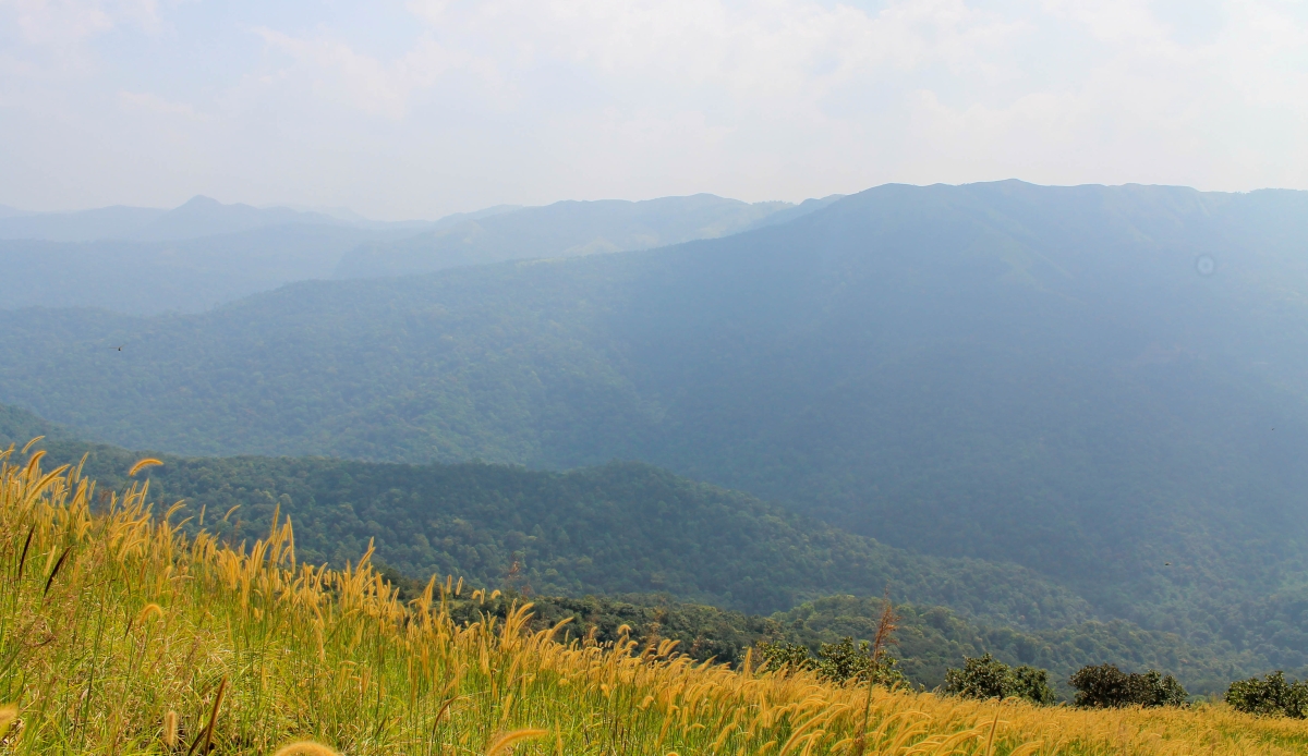 Western ghats in Karnataka