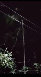 The electric fence that claimed the life of Ananthu.