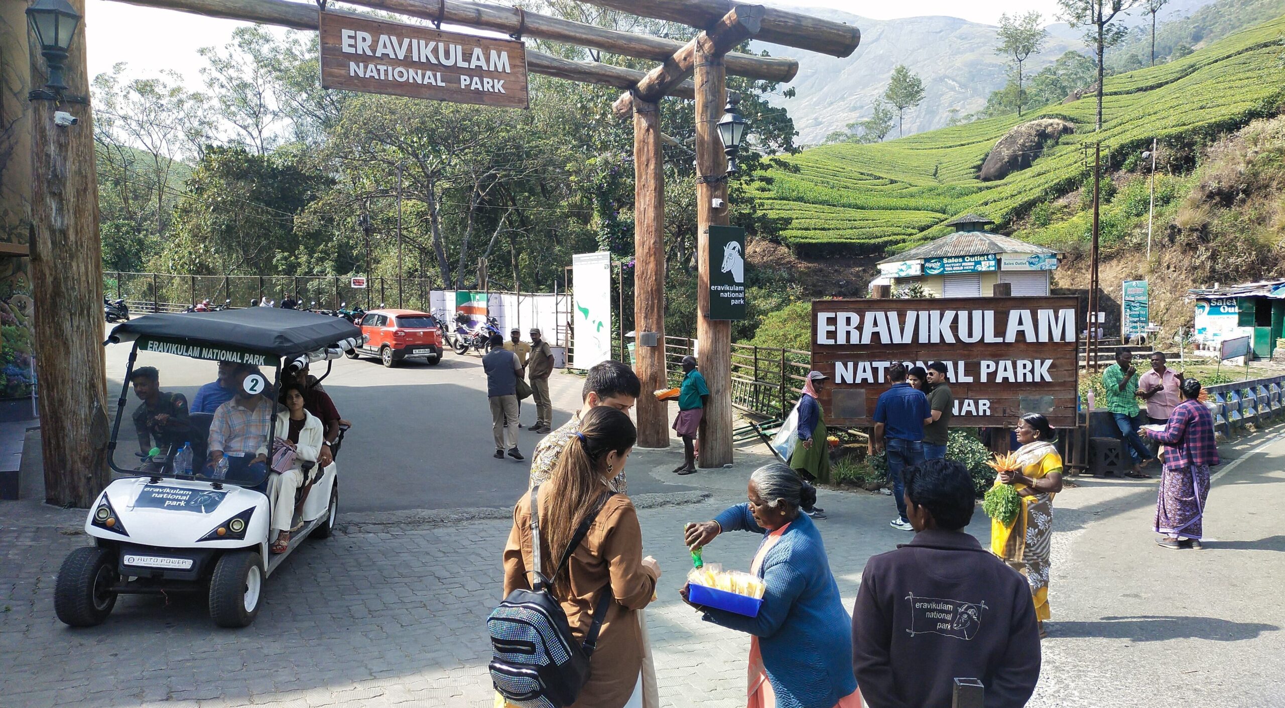 Eravikulam National Park crowned best in India on 50th anniversary