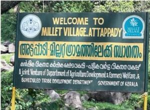 Millet Village, Attapadi.