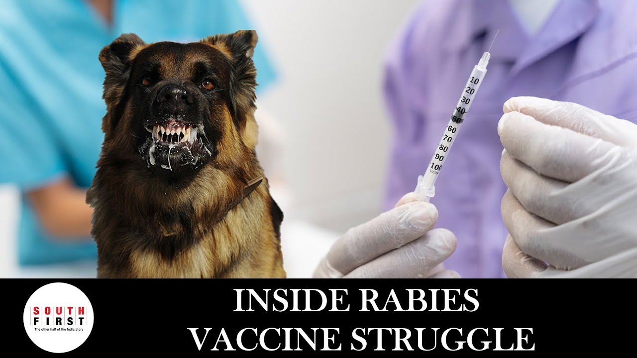 rabies immunoglobulin