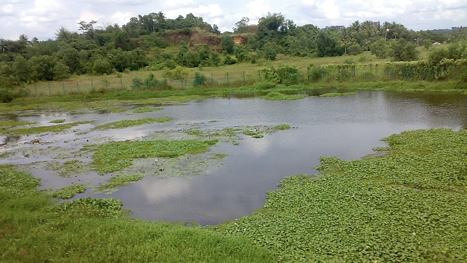 Action plan underway to clean up Kerala’s Kadambrayar river