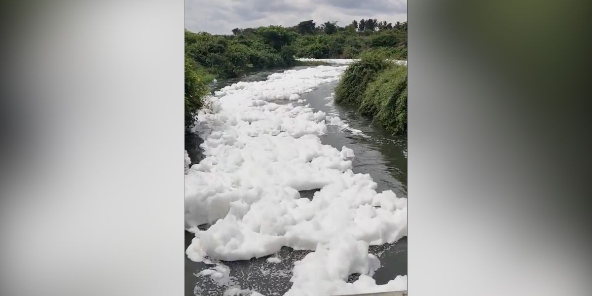 Foam formation in Thenpennai river.