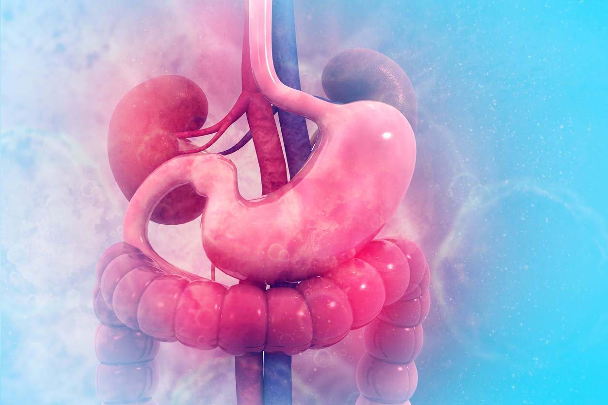 gut-kidney connection