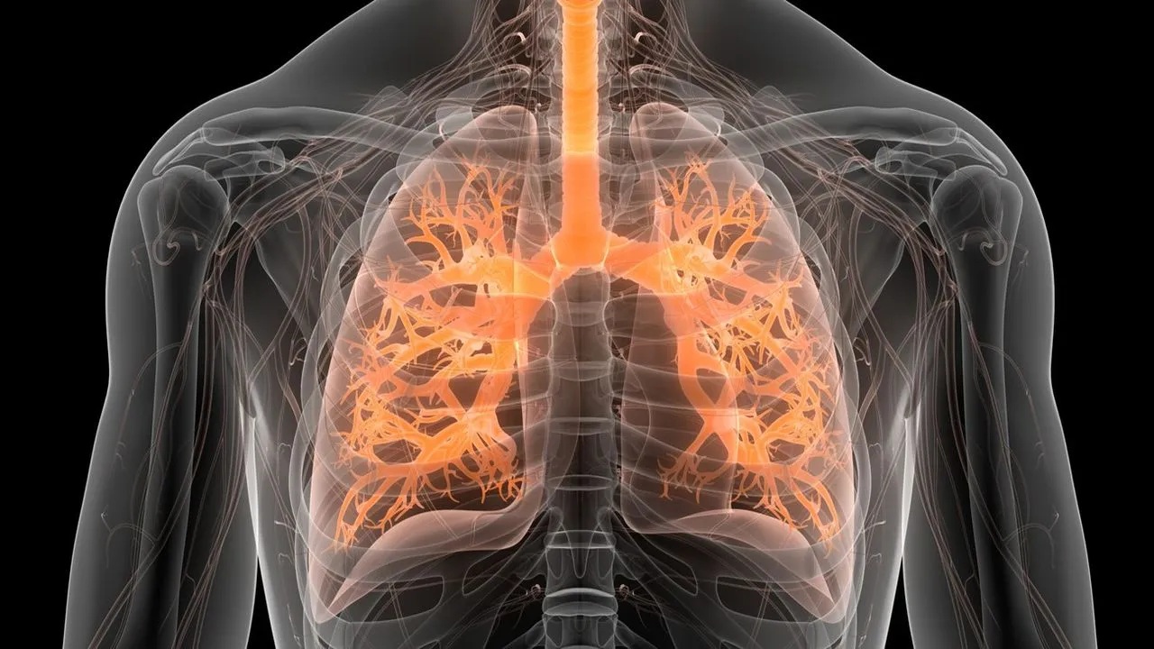 Lung cancer is the leading cause of cancer-related deaths globally, accounting for nearly 1 in 5 of all cancer deaths. (Represntational pic/iStock)