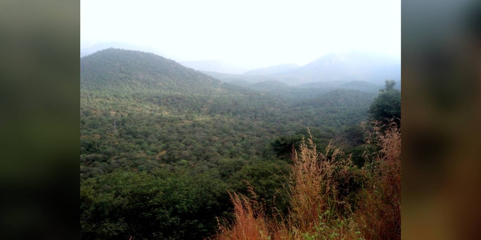 MM Hills