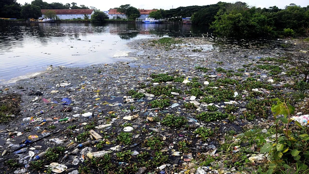 waste-dump Under the proposed system, consumers in Kerala would pay a small deposit while purchasing products like PET bottles and aluminum cans, refundable upon returning the used containers to designated collection points or reverse vending machines.