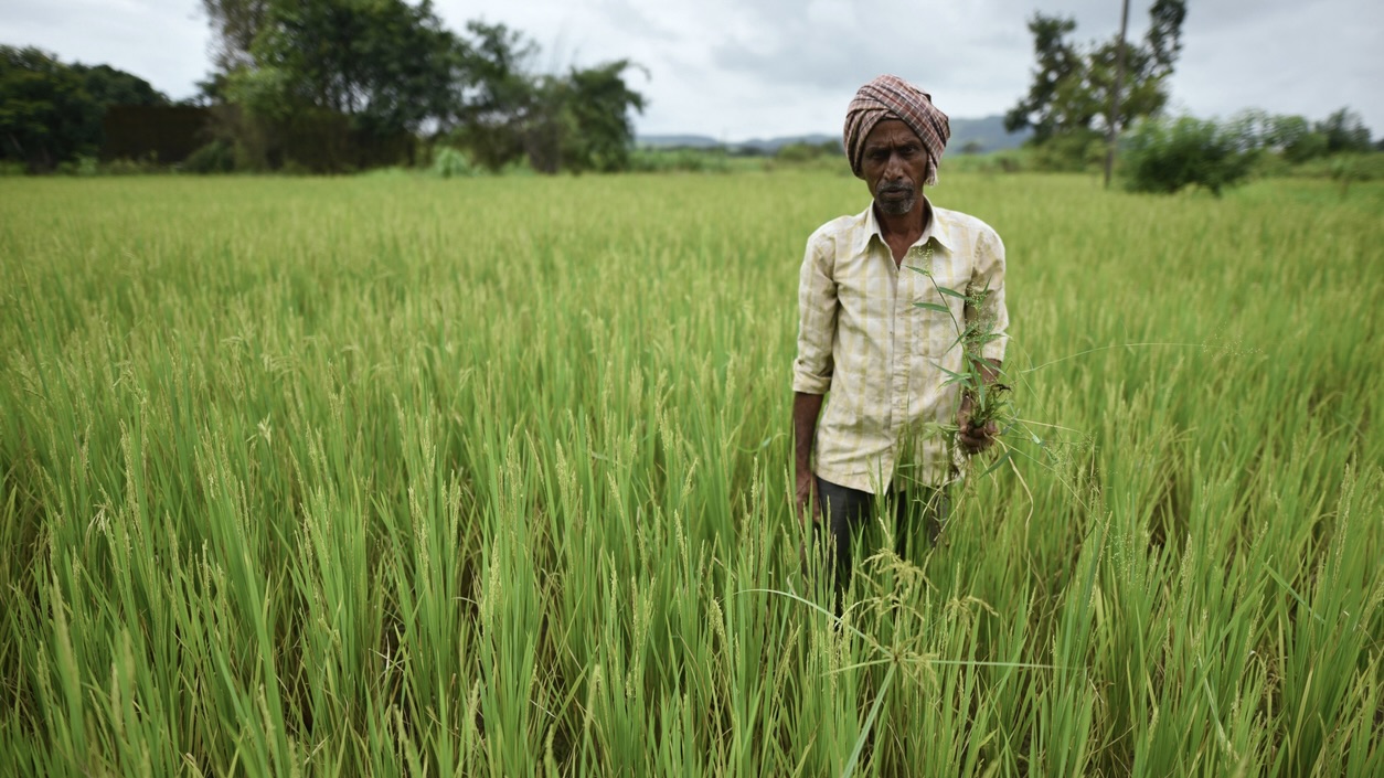 074E464B-A111-4781-90E8-CF918ABAA101_1_201_a Congress under fire in Karnataka as urea shortage continues, BJP accuses fertiliser ‘scam and ‘Gandhi appeasement’