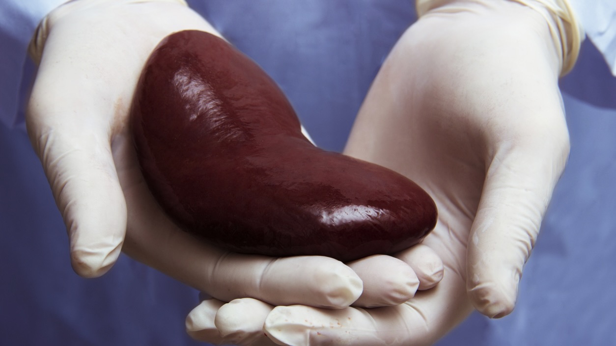 3E3B0A6C-EEEF-4225-9643-C2A115188BA8_1_201_a Tamil Nadu tops nation in cadaveric organ donations for 2024, earns national award