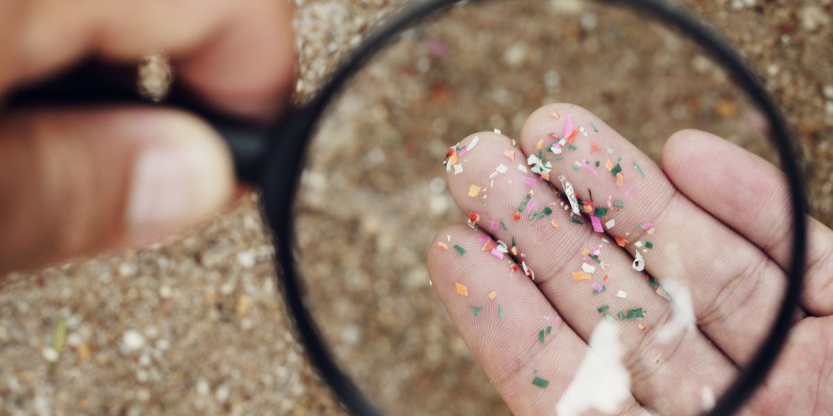 Lancet study plastic