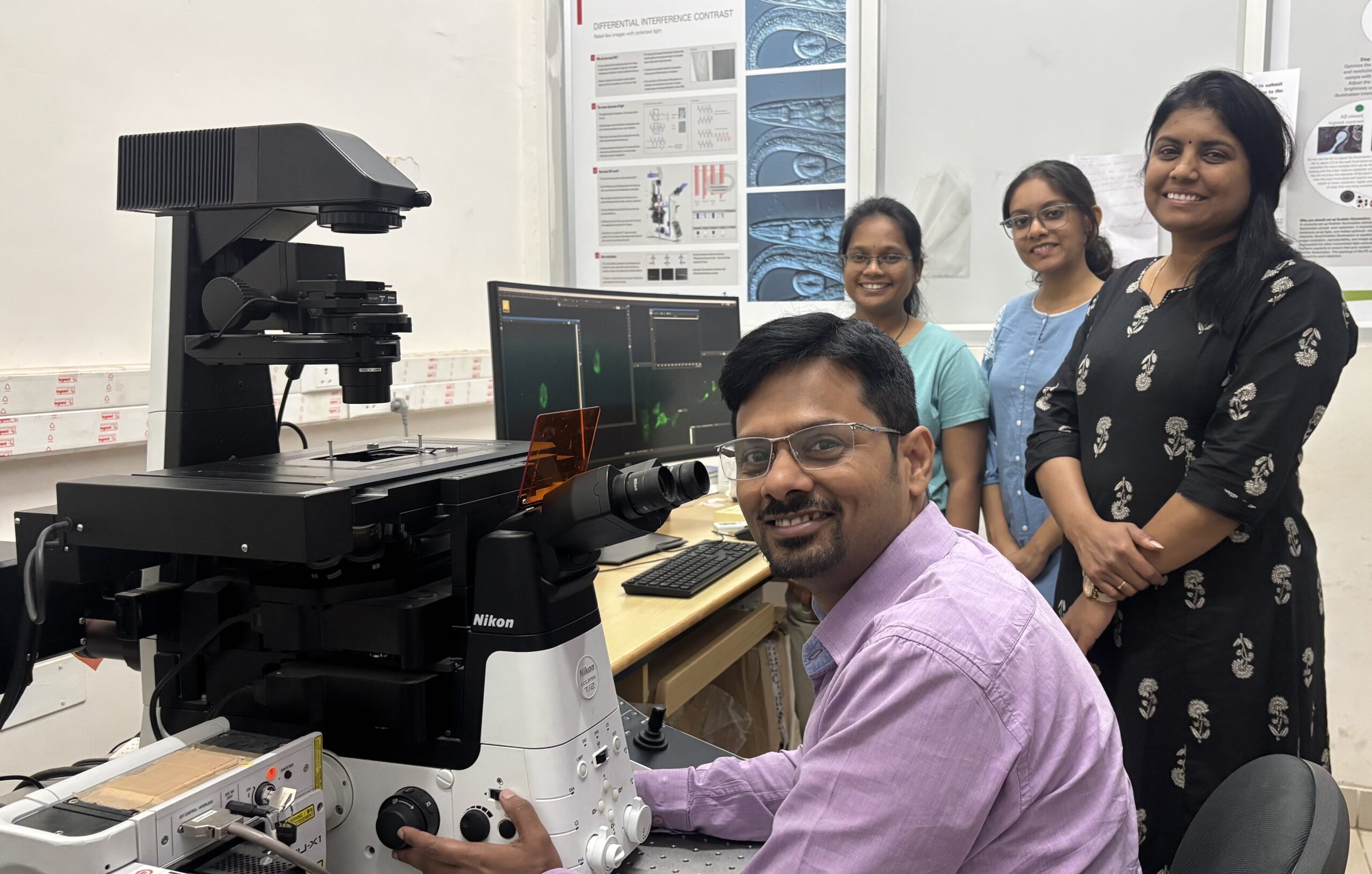 iisc diabetes pancreatic cells