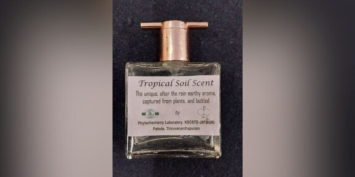 Tropical Soil Scent.