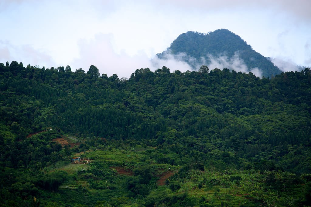 WhatsApp Image 2025-08-22 at 01.29.38 A geographically diverse state, stretching nearly 600 km from north to south and 30–60 km from east to west, faces mounting challenges from rising human-wildlife conflicts. (Kerala Forests)