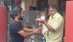 SPCA volunteers shifting the dogs on Tuesday.