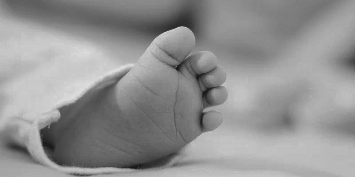 Hyderabad doctor fertility scam