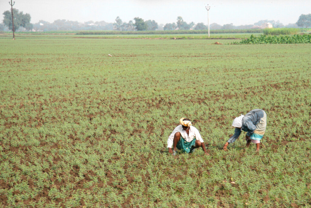 The silent anti-incumbency building in rural Andhra