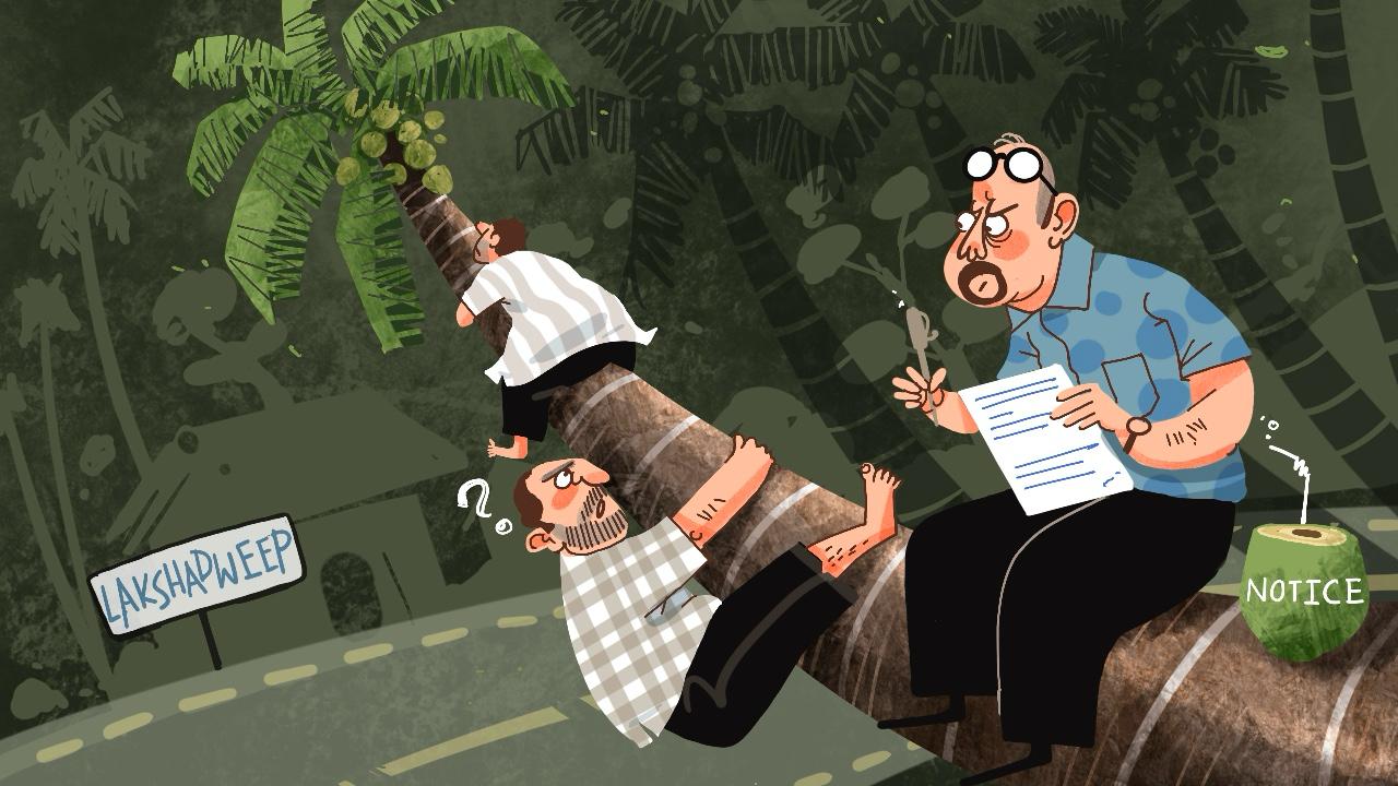 Lakshadweep coconut plucking ban