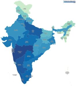 State-wise use of sex toys.