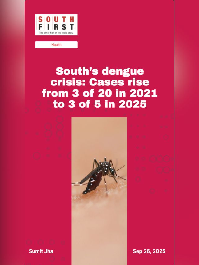 South’s dengue crisis: Cases rise from 3 of 20 in 2021 to 3 of 5 in 2025