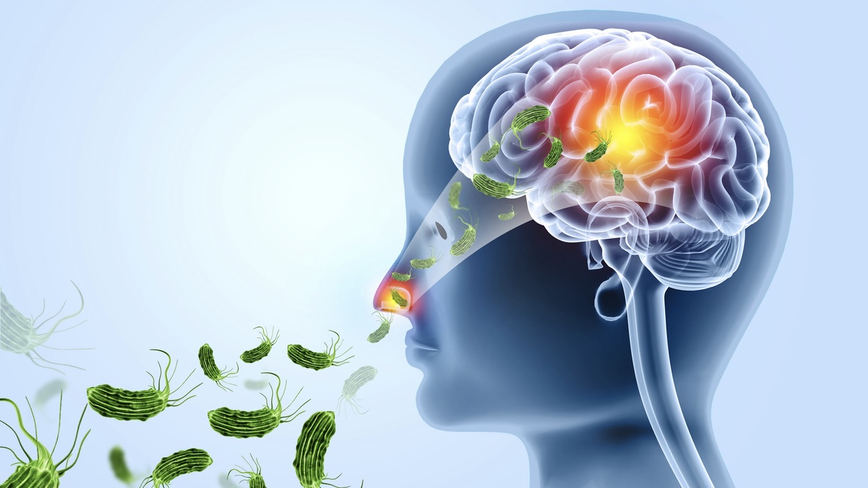 Visual concept of deadly brain-eating amoeba infection. 3d illustration Visual concept of deadly brain-eating amoeba infection.