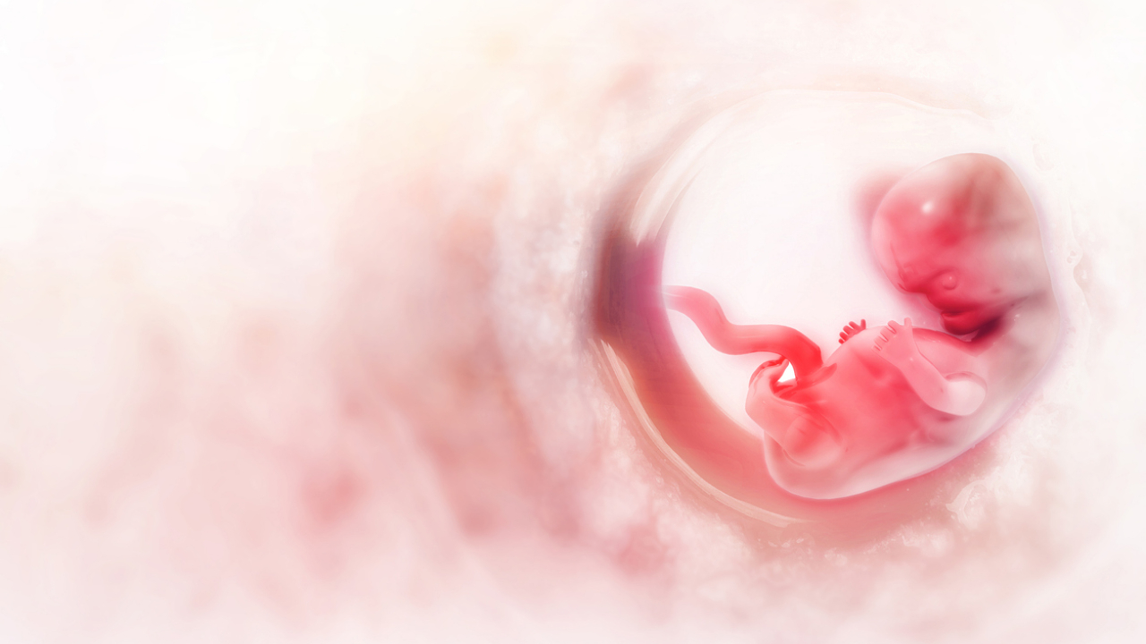 Representational image. Credit: iStock