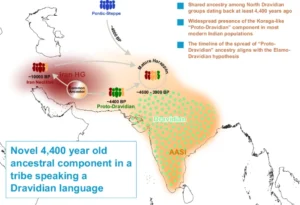 Genetic research over the last two decades has shown that nearly all Indians descend from a complex mixture of ancestral populations that entered the subcontinent at different times.