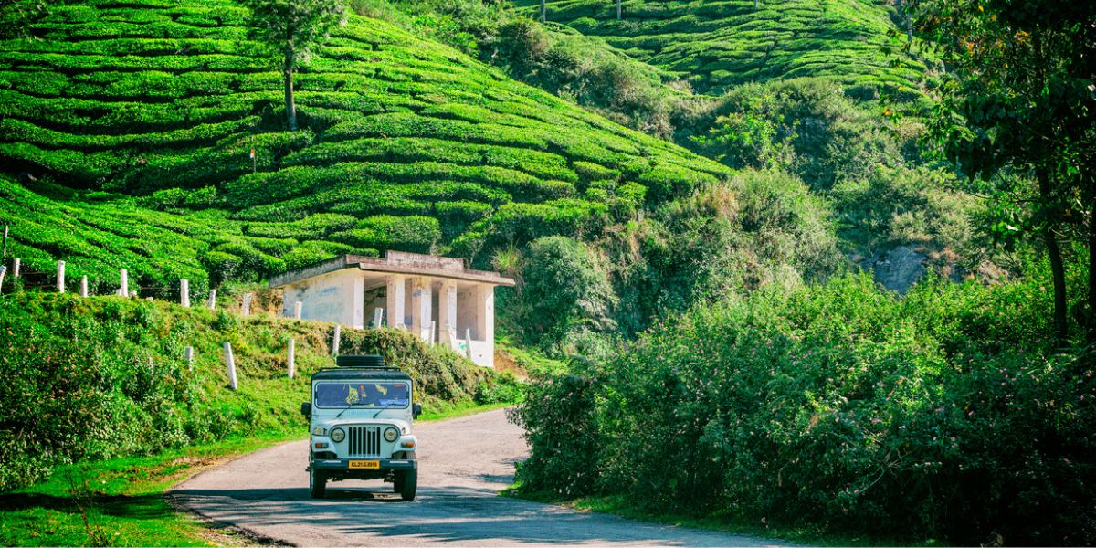 A vehicle inside tea plantations in Kerala's Munnar. (iStock)