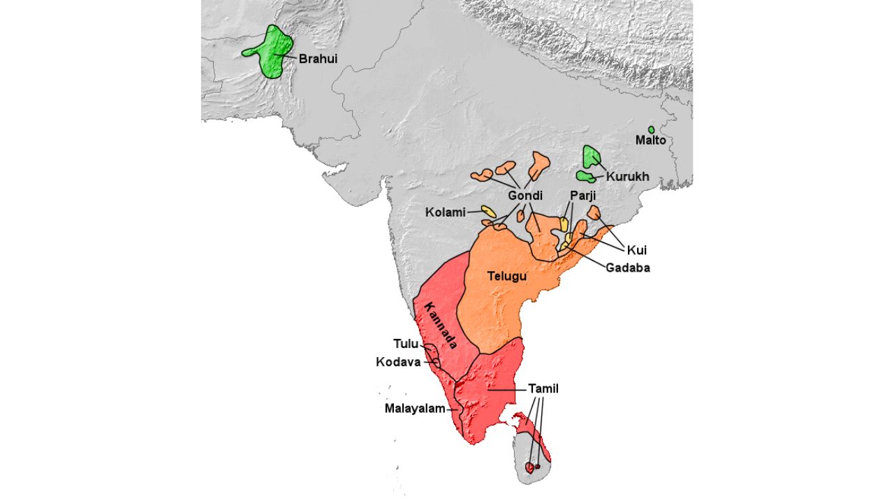 Koraga The Koragas speak a Dravidian language related to the north Dravidian group, which includes Brahui, still spoken in Balochistan — the last surviving example of that linguistic branch.