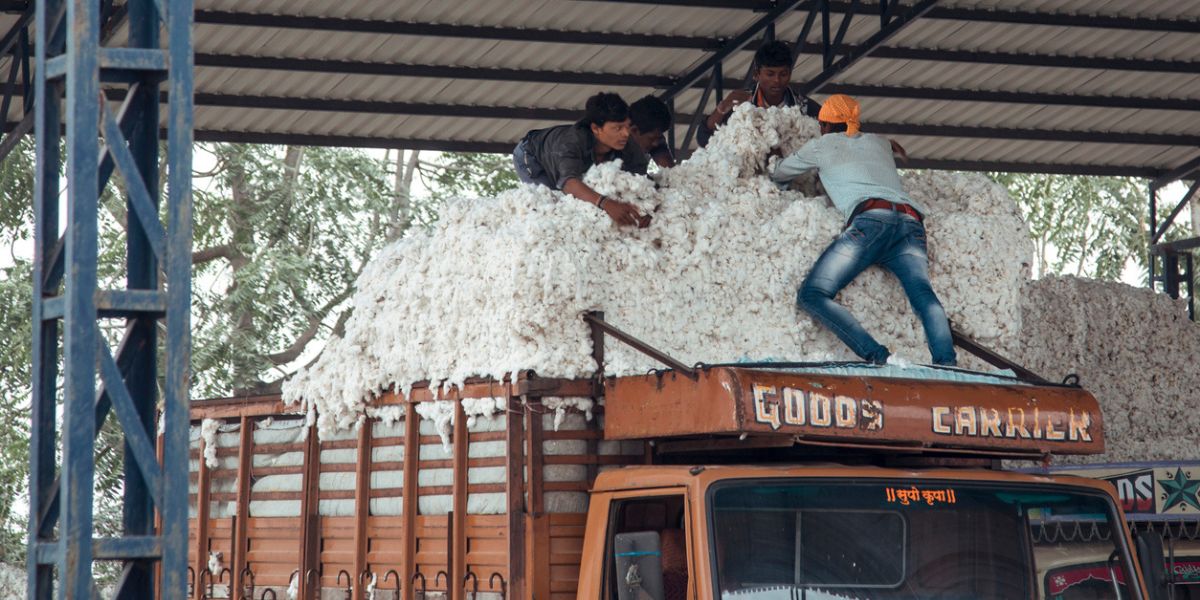 Labourers stacking cotton bales on top of a truck