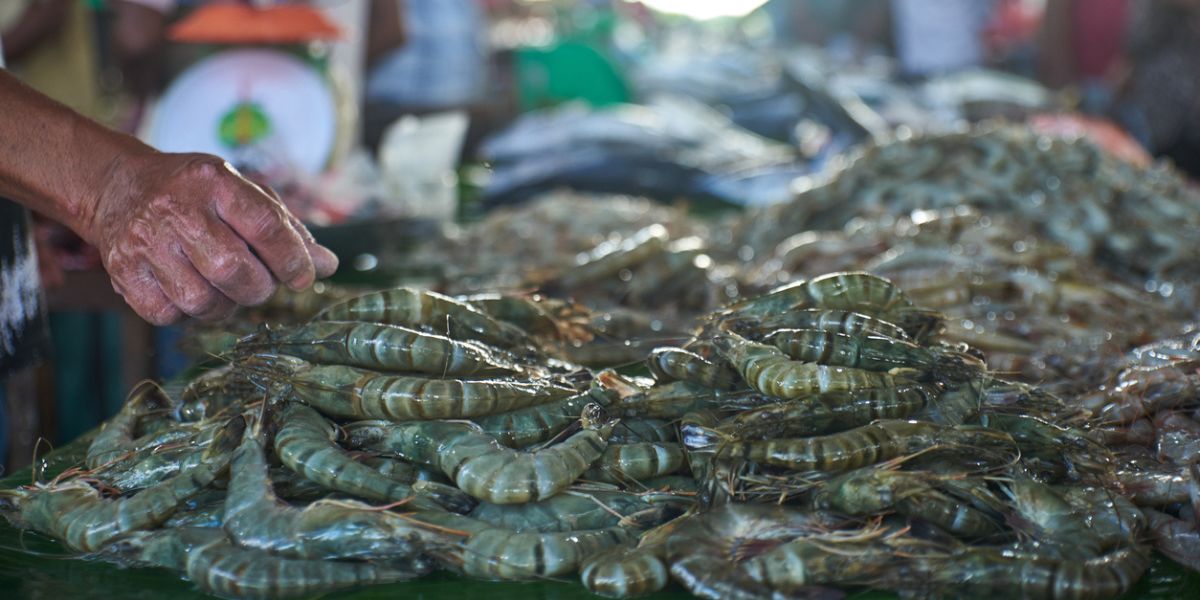 Pile of fresh raw prawns.