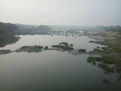 Wardha River in Pulgaon.
