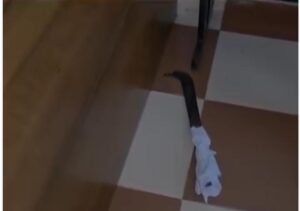 The machete used to attack Dr Vipin.