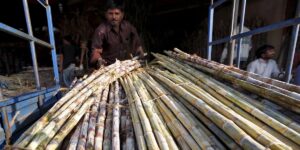 Bakwa is a sustainable packaging brand producing 100% biodegradable bottles made entirely from plant-based materials like sugarcane and corn starch.