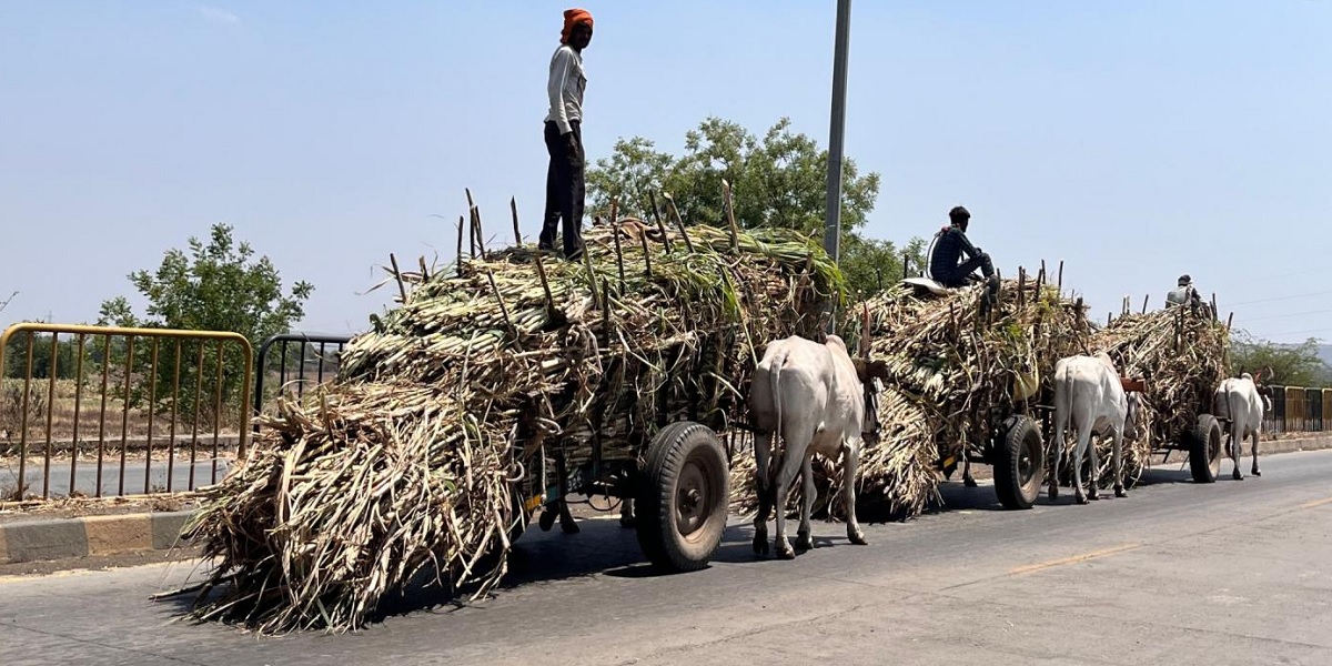 Bakwa is a sustainable packaging brand producing 100% biodegradable bottles made entirely from plant-based materials like sugarcane and corn starch.