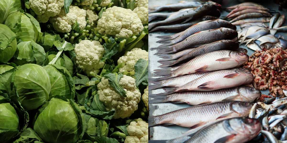 How vegetables, fish, poultry and milk may be driving your antibiotic resistance