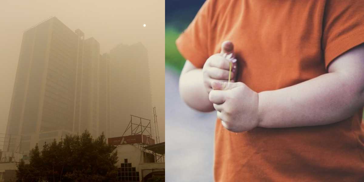 Teens in heavily polluted Delhi are twice as likely to be obese as peers in southern cities