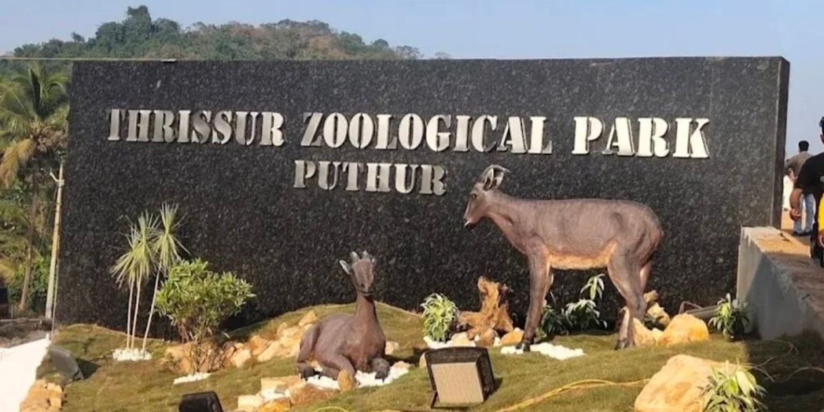 Puthur Zoological Park in the Thrissur.