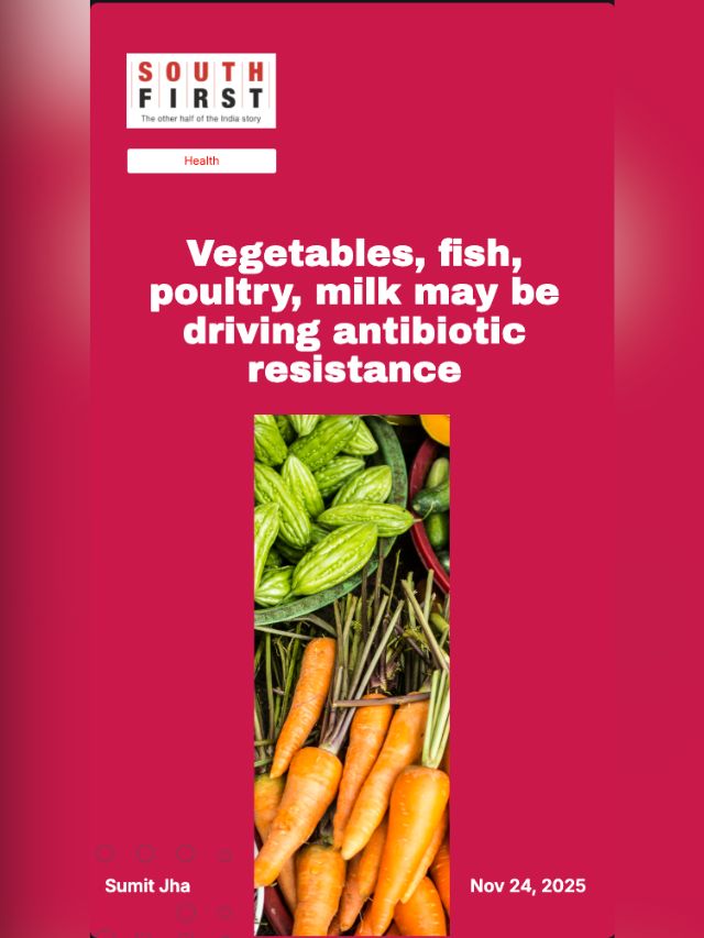 Vegetables, fish, poultry, milk may be driving antibiotic resistance