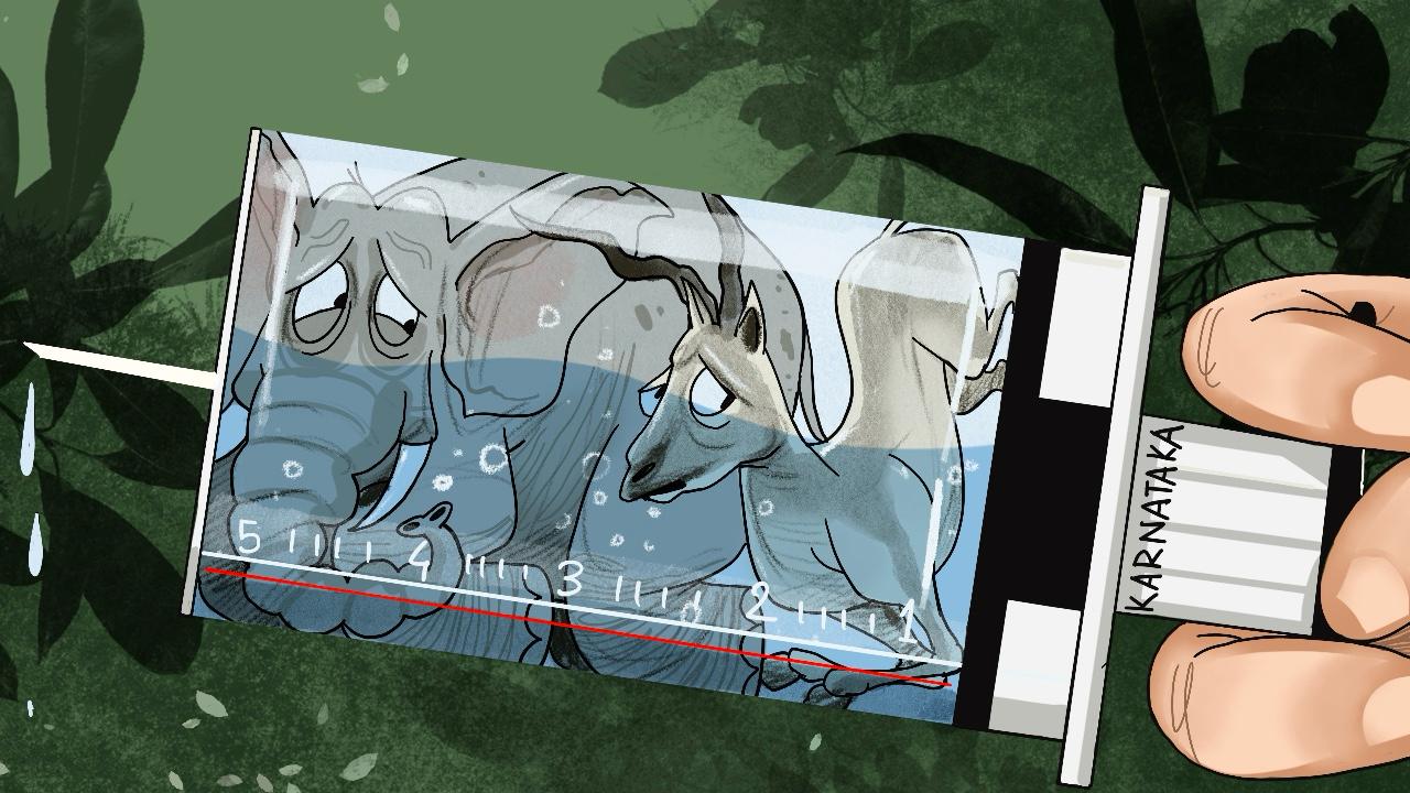 Over a week ago, 31 of the 38 blackbucks at Belagavi’s Kittur Rani Chennamma Zoo died due to Haemorrhagic Septicaemia (HS), a fatal bacterial disease.