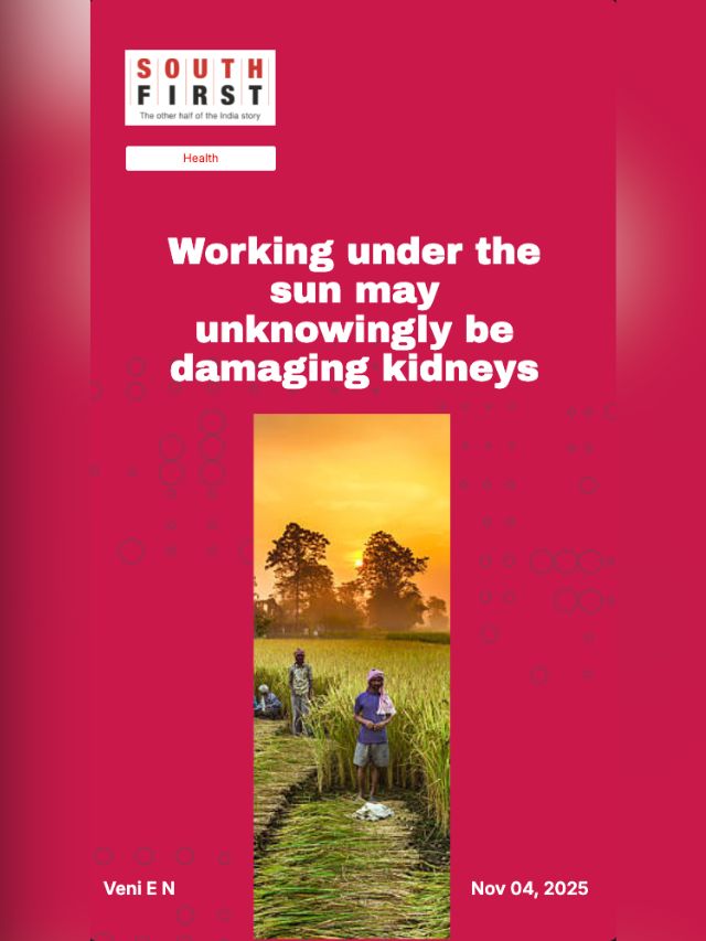 Working under the sun may unknowingly be damaging kidneys
