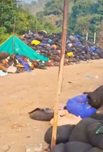 Heaps of clothes fished out from Pamba river
