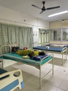 A cat sits on one of the hospital beds near Mary